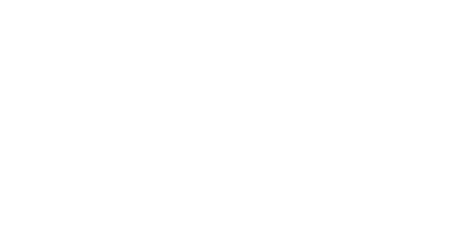Vardio logo